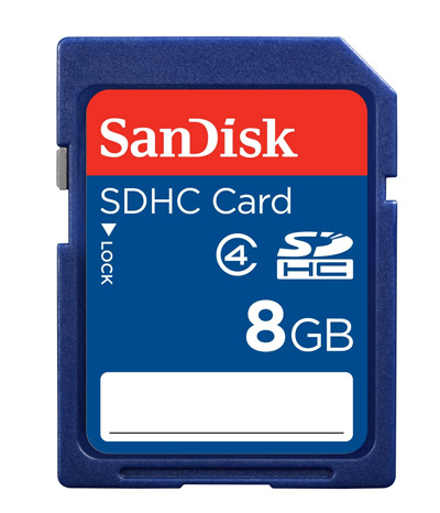 10. SanDisk SDHC Memory Card