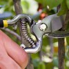 Best Tree Trimming Tools In 2015 Review