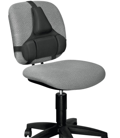 3. Fellowes Professional Series Back Support, Black