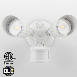 6. 20W Dual-Head Motion Activated Security Light